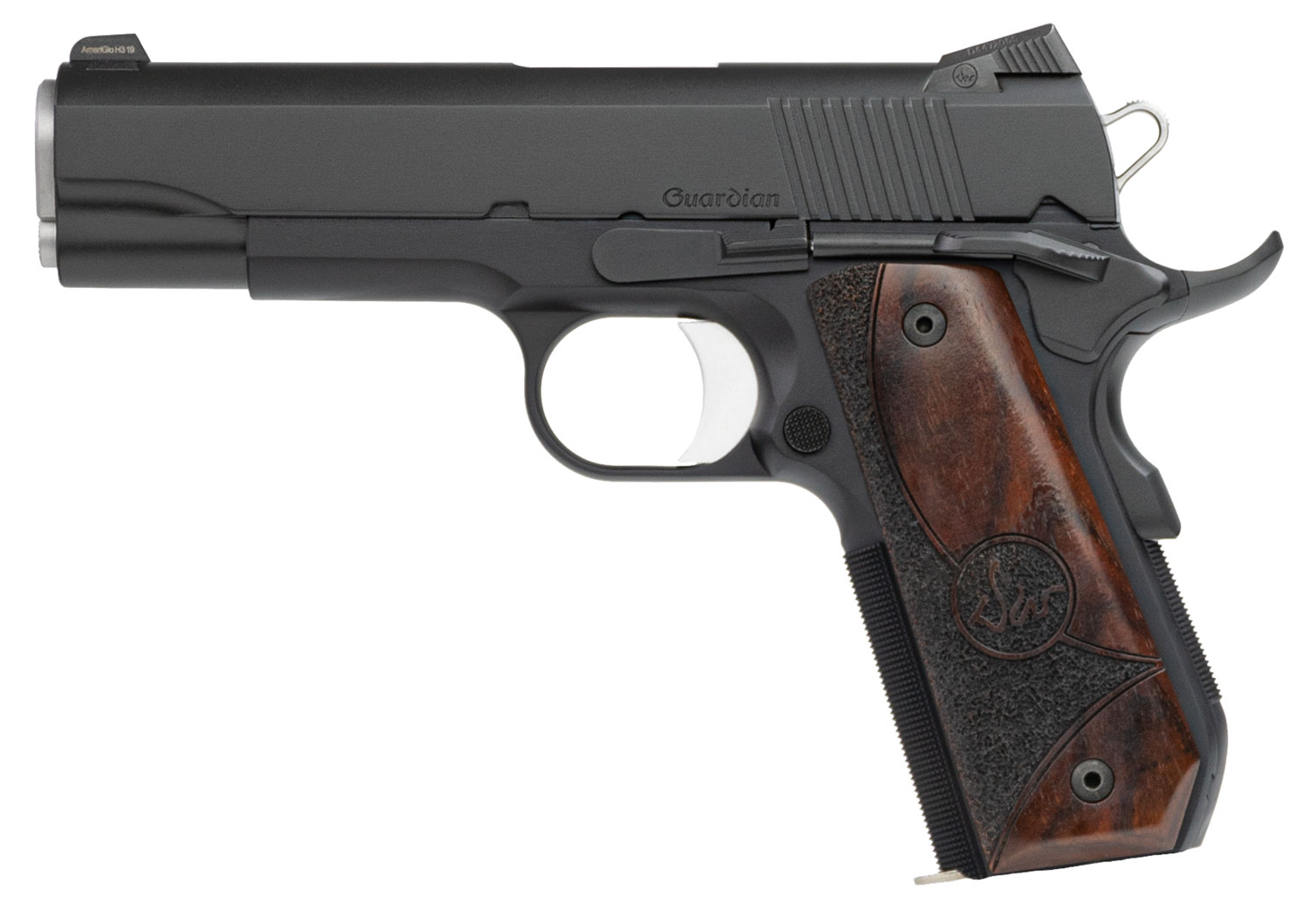 CZ DW GUARDIAN 9MM Dan Wesson - Image 3