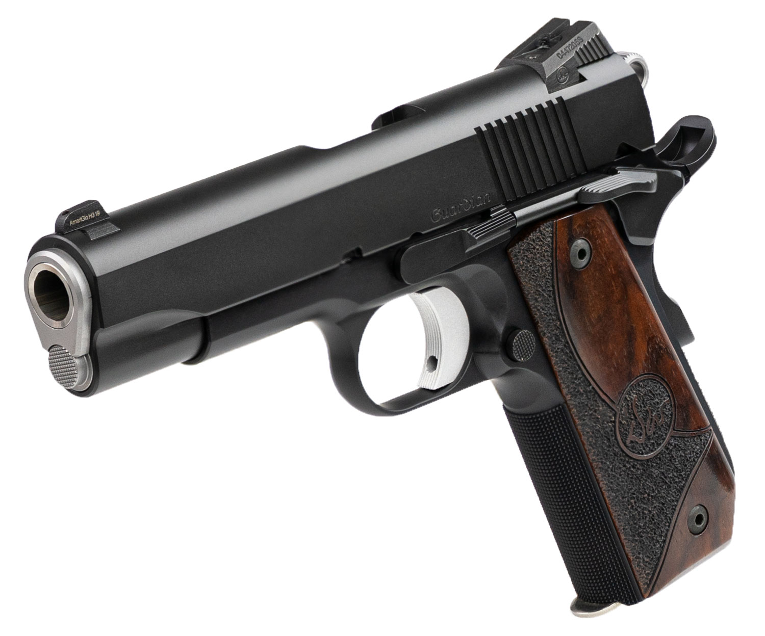 CZ DW GUARDIAN 9MM Dan Wesson - Image 4