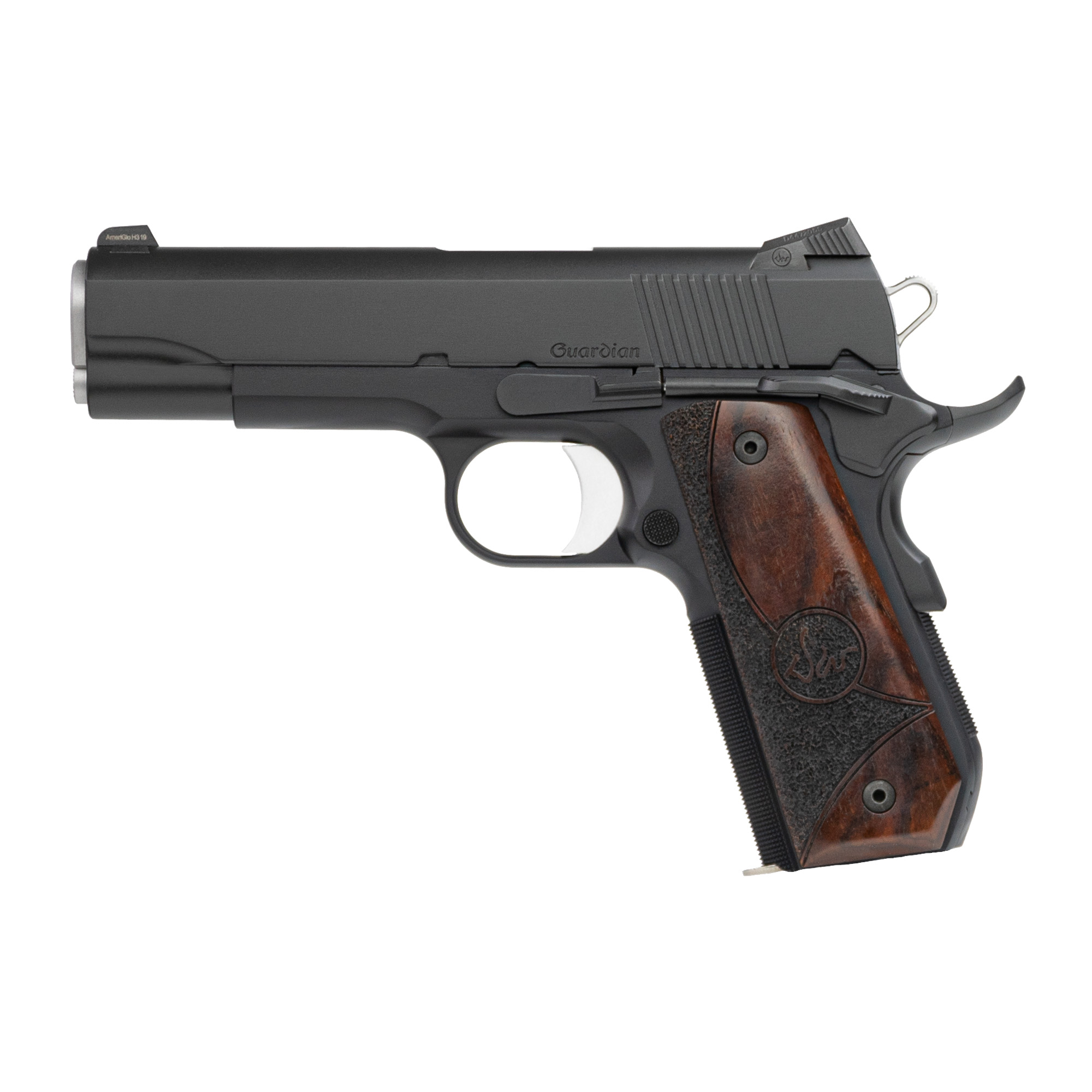 CZ DW GUARDIAN 9MM Dan Wesson - Image 5