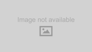 GLK P61950203 G19 G6 ORS FXD 15R