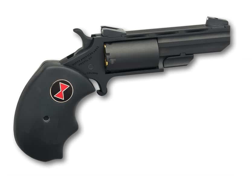 North-American-Arms .22 WMR Steel – 5rd