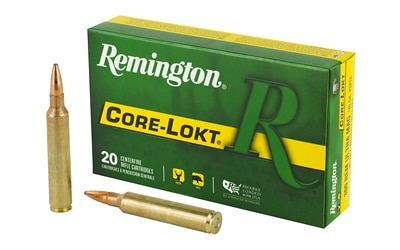 Remington .300 RUM 180gr CORE-LOKT Brass – 20rd