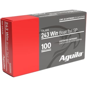 Aguila .243 Win 100gr InterLock Boat Tail Soft Point 20rd box