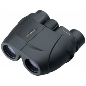 Leupold BX-1 Rogue 10x25mm compact Porro binoculars in black