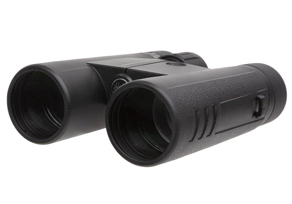 Sig Sauer Buckmaster 10x42 binocular, black, BaK-4 roof prism