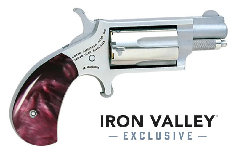 Mini-Rev 22Mag 1 1/8"S FS Prpl Pearl Grp