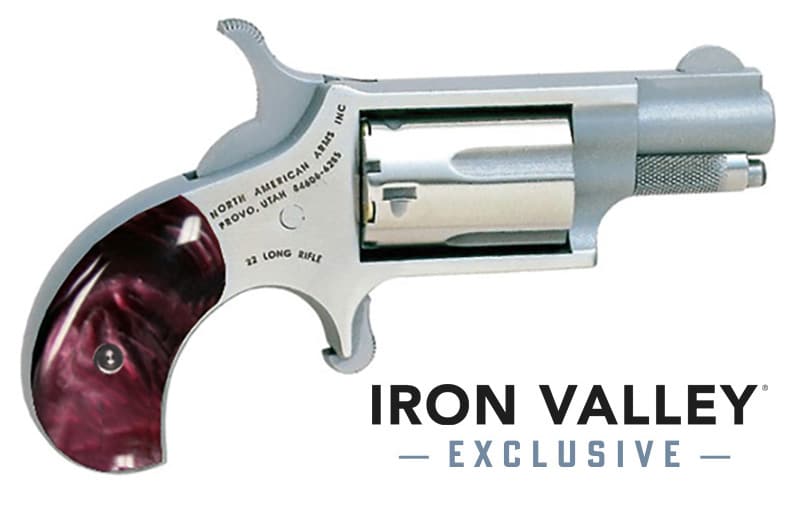 Mini-Rev 22LR 1 1/8"S FS Prpl Pearl Grp