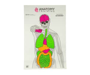 Action Target Anatomy Training silhouette vitals paper target 23 x 35 100 pack