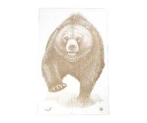 Action Target Alaska State Parks Bear paper target 100 pack product image