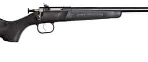 Keystone Sporting Arms Crickett 22LR rifle with black synthetic stock and blued barrel