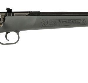 Crickett .22 LR single-shot rifle with blued finish and gray synthetic stock, 16.125" barrel