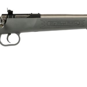 Keystone Sporting Arms Crickett .22 LR single-shot rifle, stainless finish, gray synthetic stock