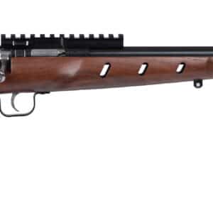 Davey Crickett Keystone Crickett .22 LR blued heavy barrel with wood stock