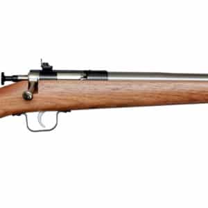 Davey Crickett Crickett G2 .22 LR youth single-shot rifle stainless barrel walnut stock