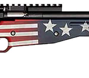 Keystone Crickett Precision Old Glory .22 LR single-shot rifle with American Flag stock and threaded bull barrel