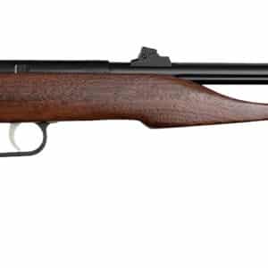 Davey Crickett 41001 Hunter .22 Mag 9-inch threaded blued barrel with walnut stock