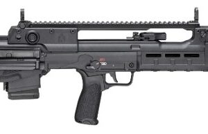 Hellion 5.56 NATO 20" Blk 2/10rd GEARUP