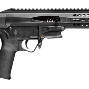 Patriot Ordnance Factory PSG .22 LR pistol, black anodized receiver, M-LOK handguard, MFT grip