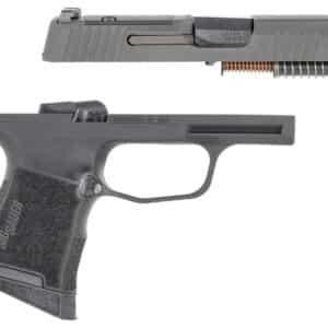 Sig Sauer 8900719 P365 Caliber Exchange Kit 380 ACP 3.10" 10+1 Black Nitride Slide Black Polymer Frame SigLite Night Sights for All Sig P365 Models